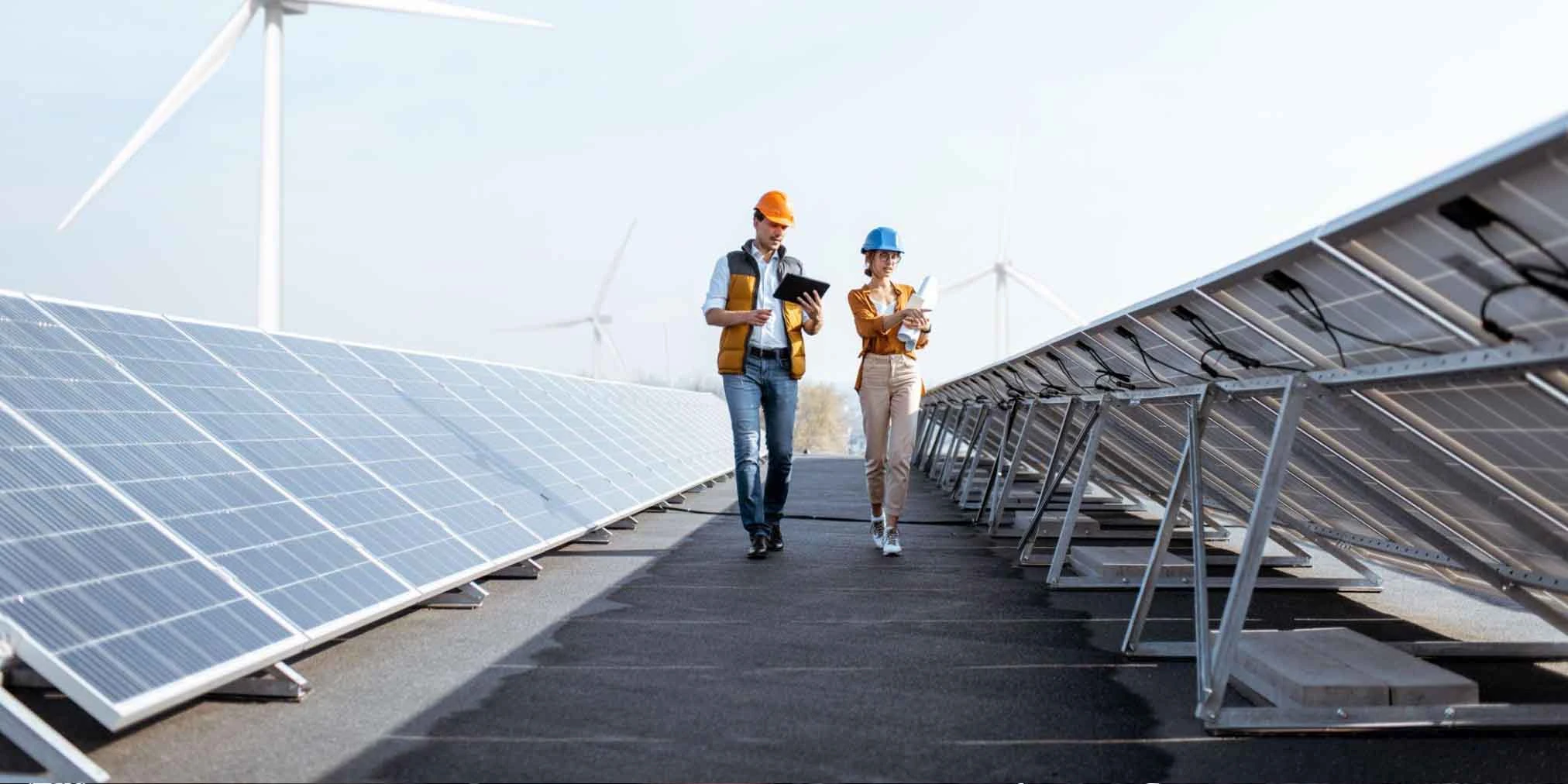 AI in Renewable Energy