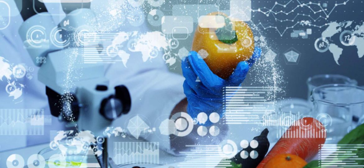 Custom Software Development Company