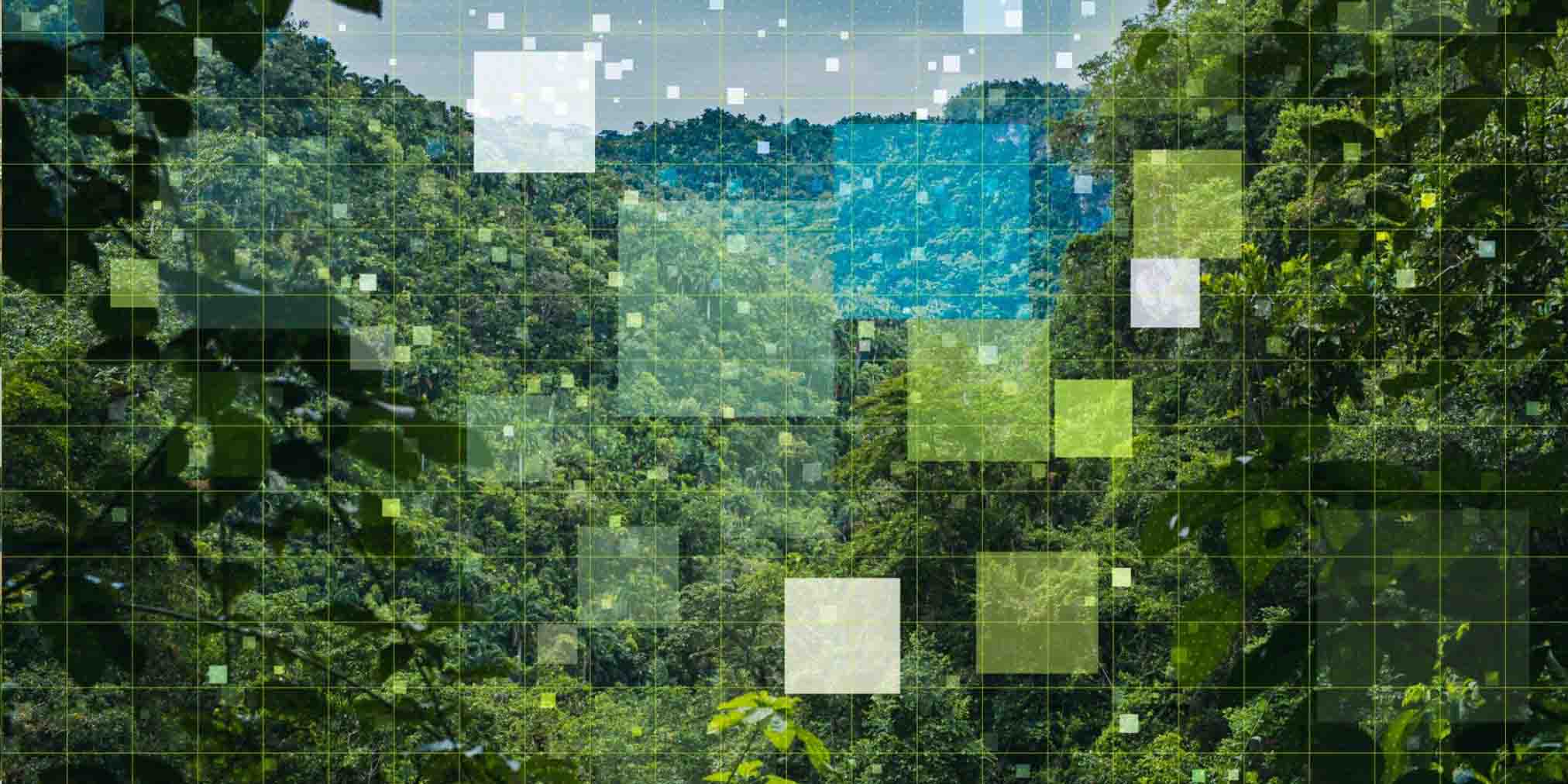 AI in Green Tech