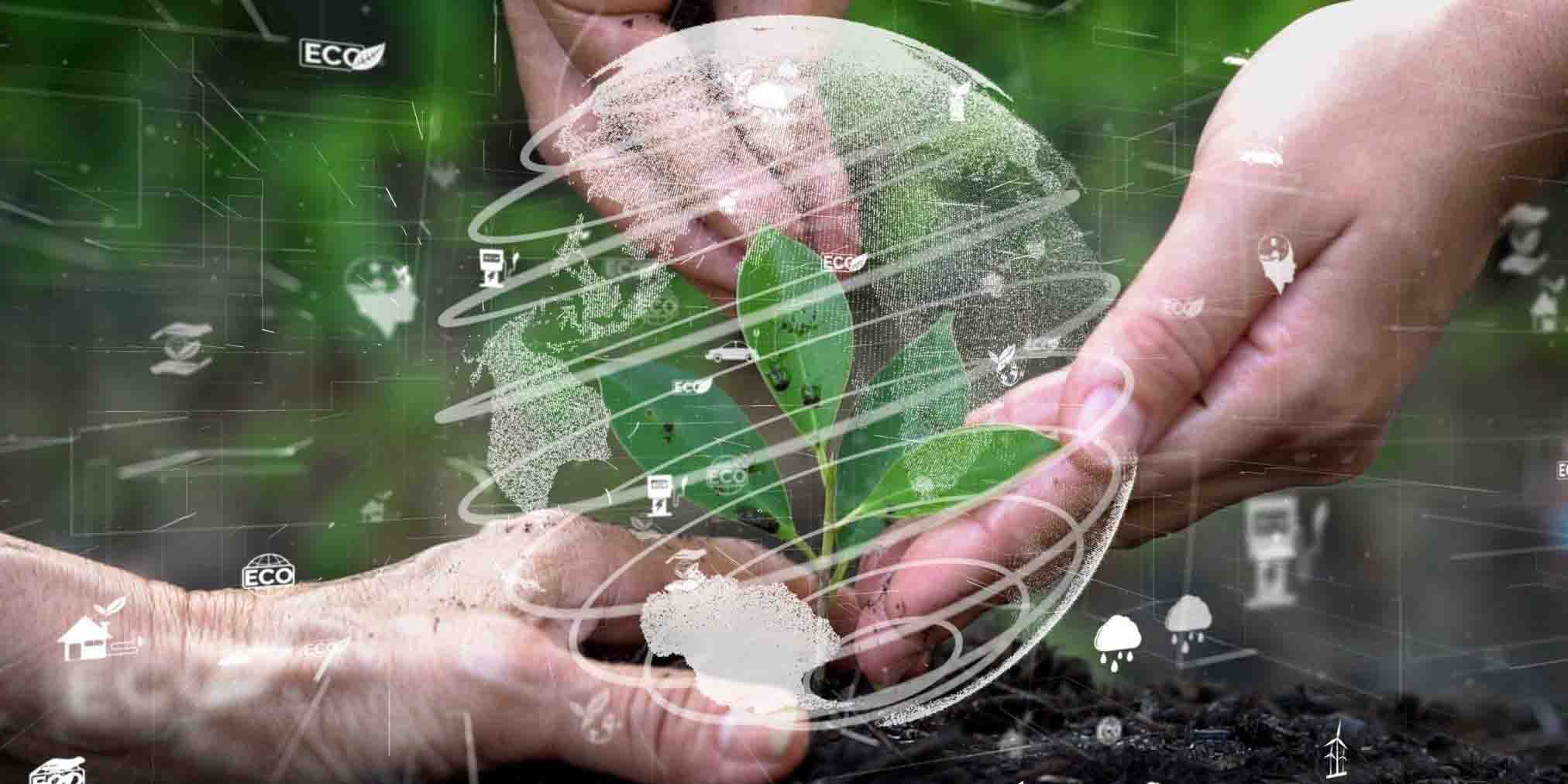 AI in Renewable Energy