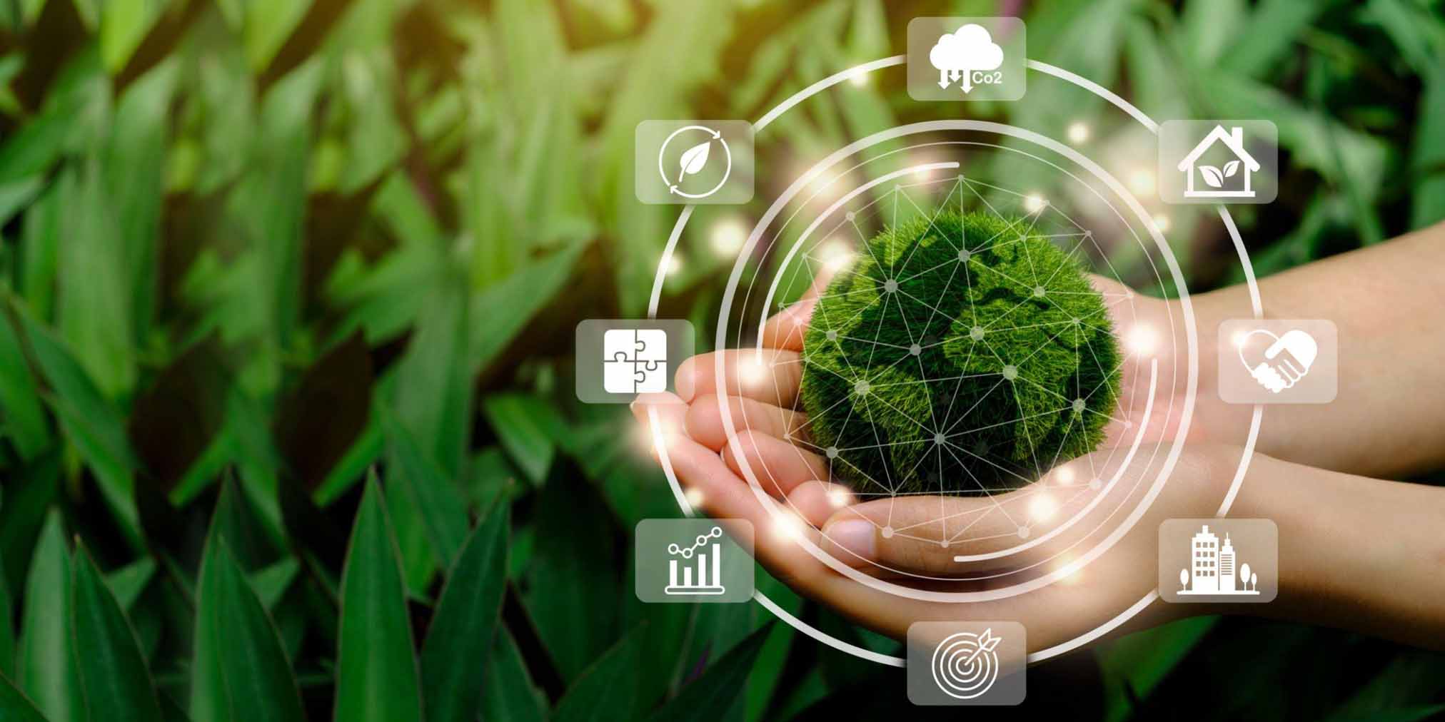 Energy Efficiency Solutions